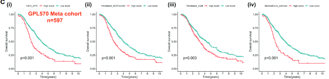 image-20221218193558754