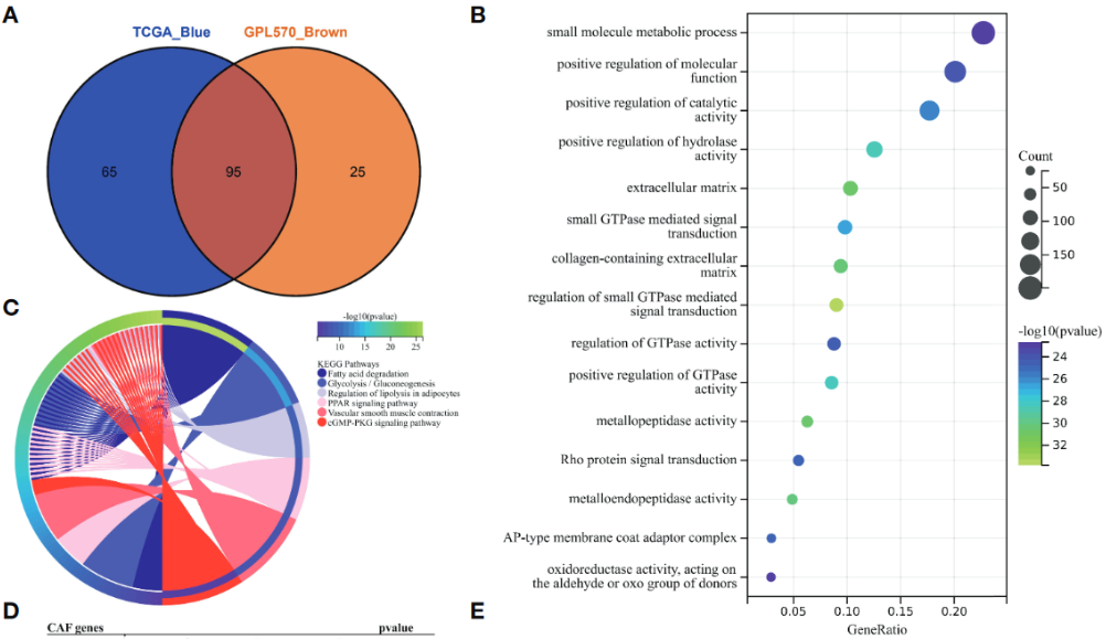 image-20221218194204942