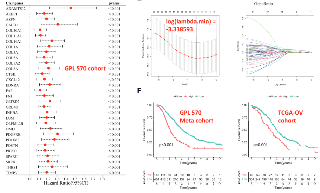 image-20221218194349987