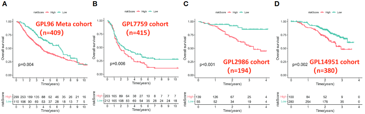 image-20221218195644515