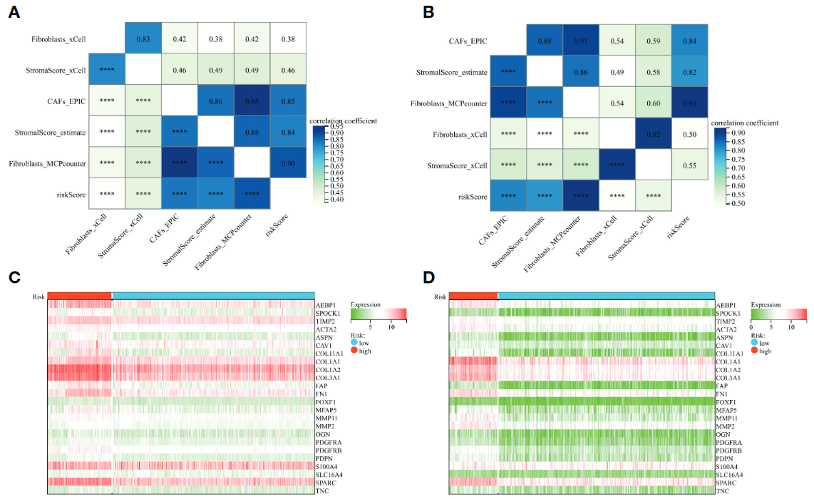 image-20221218200542091