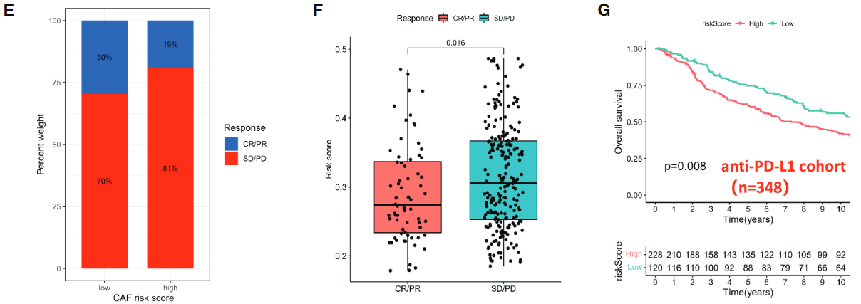 image-20221218200811066