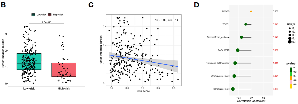 image-20221218201050160