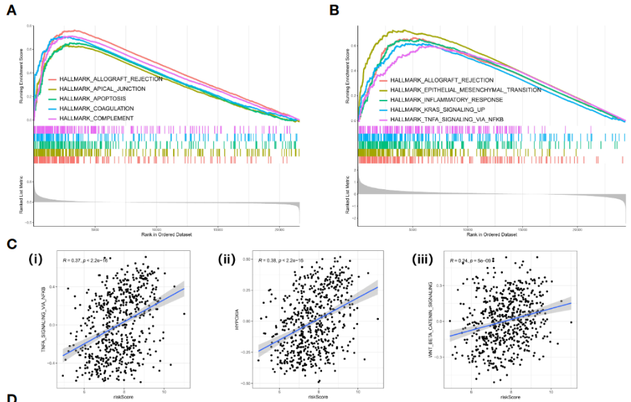 image-20221218201907878