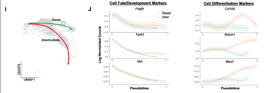 image-20230109200535326