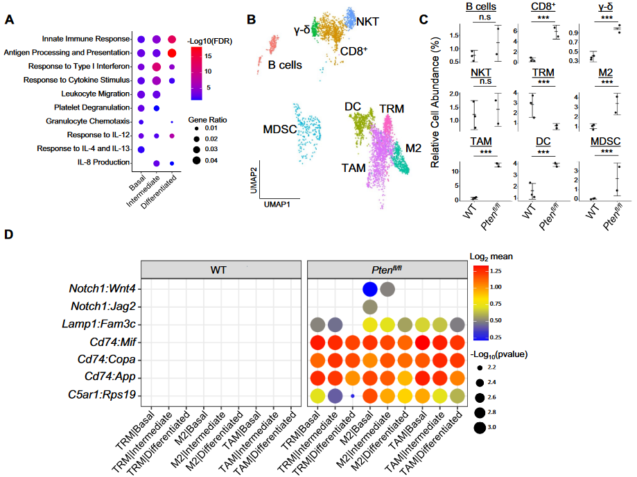 image-20230109202149328