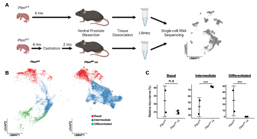 image-20230109205430183