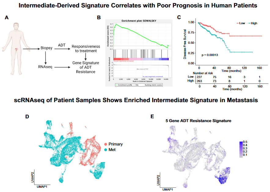 image-20230109211030050