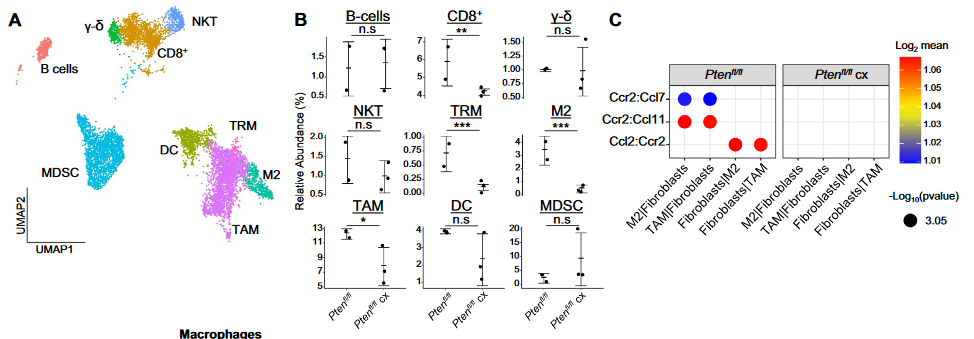 image-20230109213219458