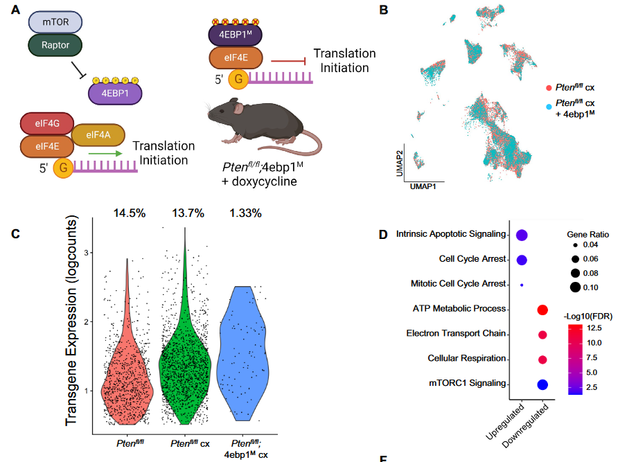 image-20230109215308277