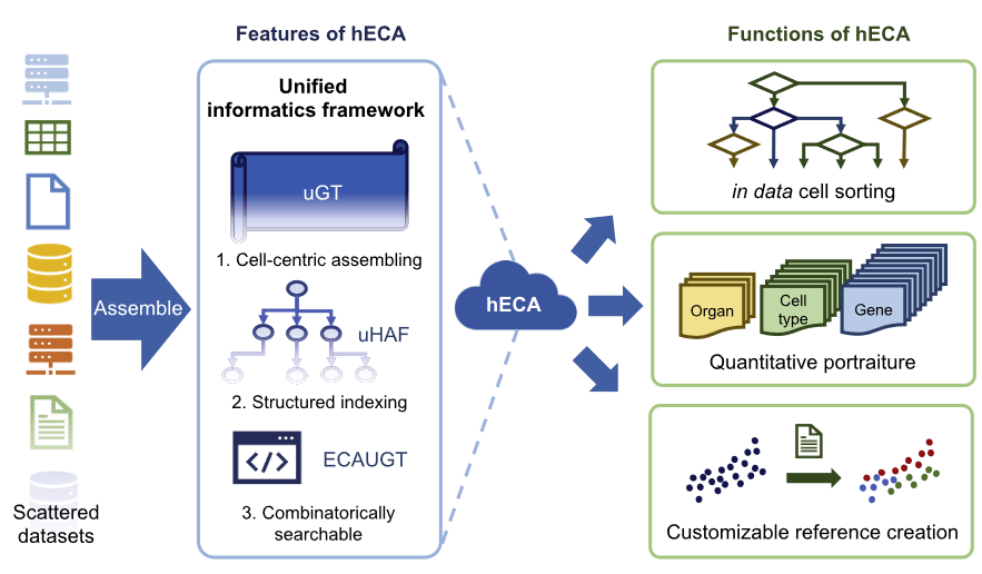 image-20230118190418506