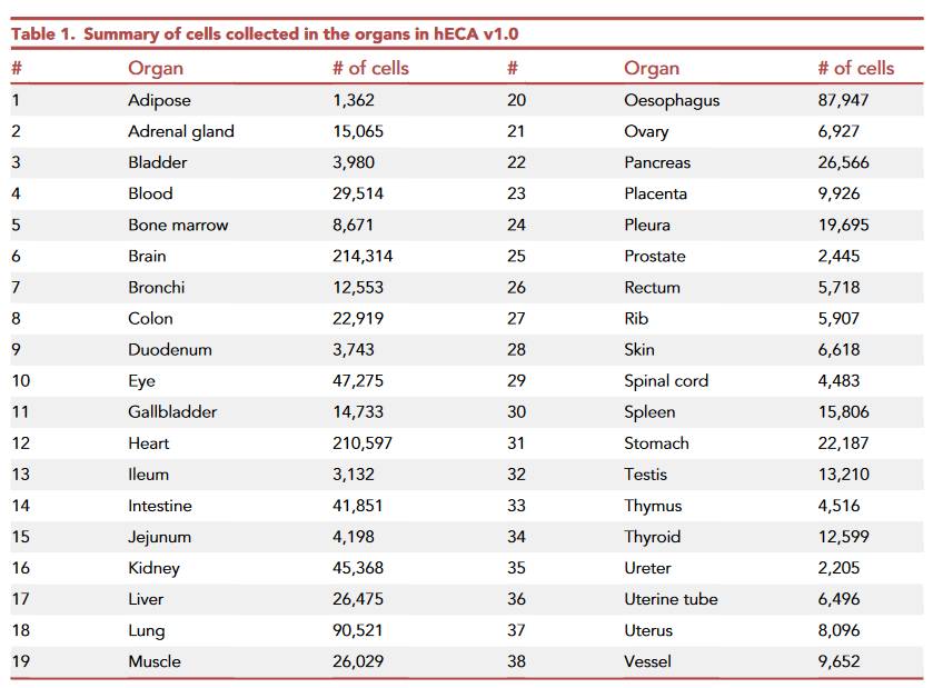 image-20230118191326175