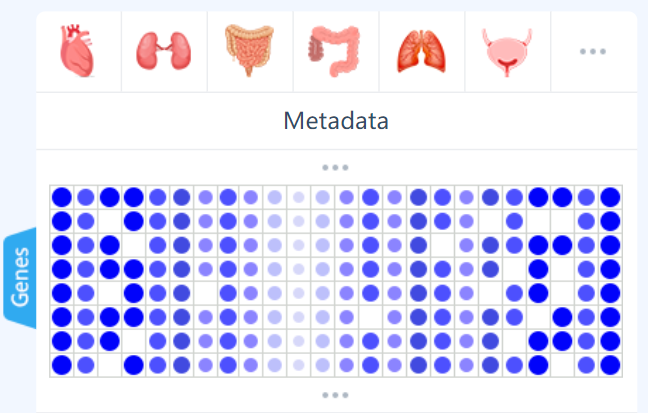 image-20230118193544955