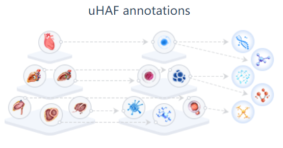 image-20230118193611901