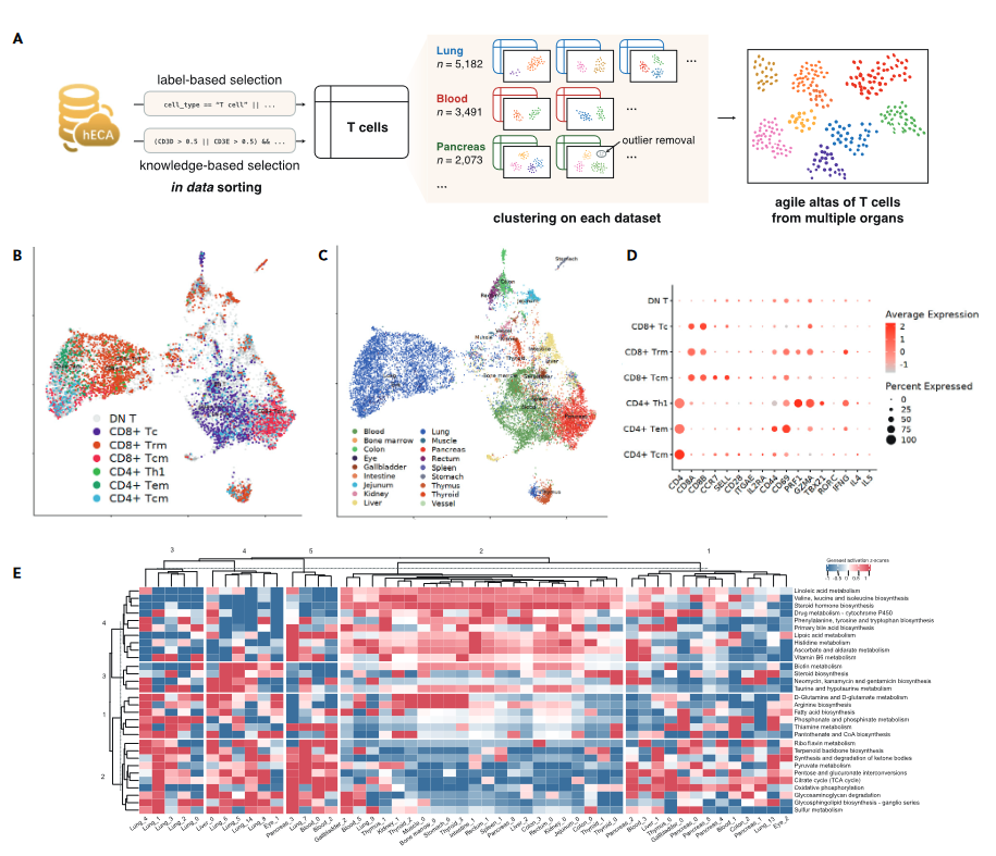 image-20230118200316061