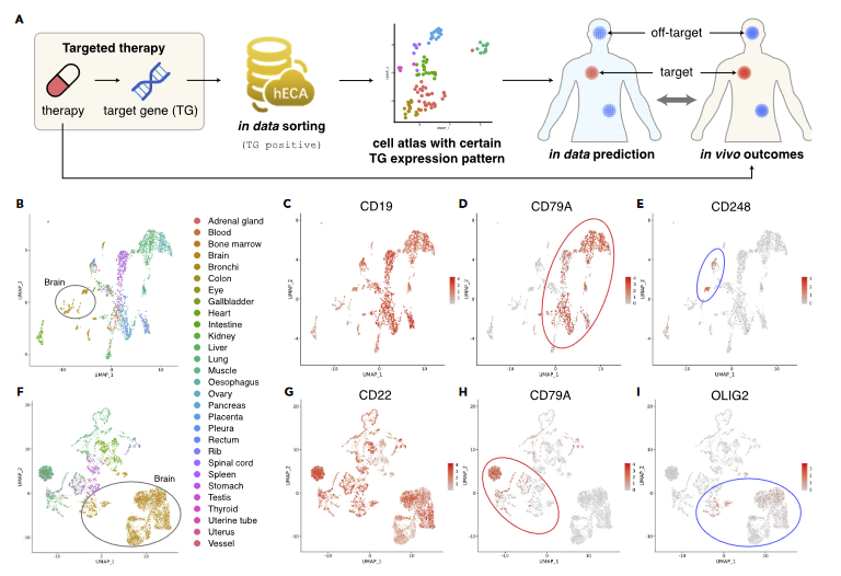 image-20230118200534523