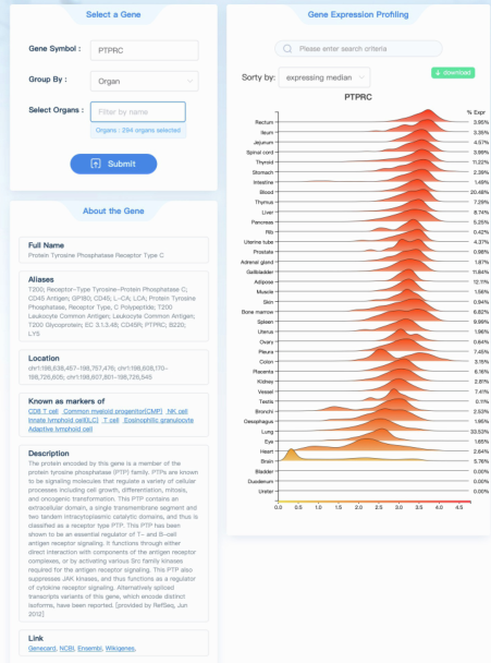 image-20230118202233854