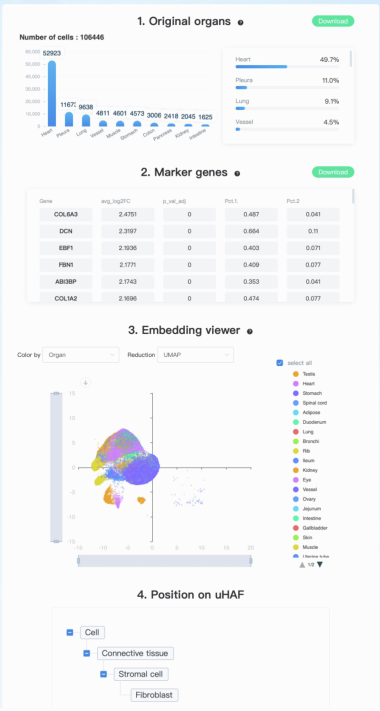 image-20230118202418990