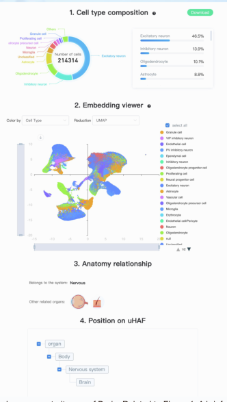 image-20230118202709086