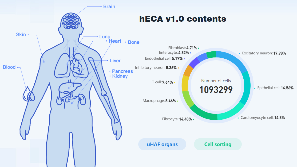 image-20230118211337588