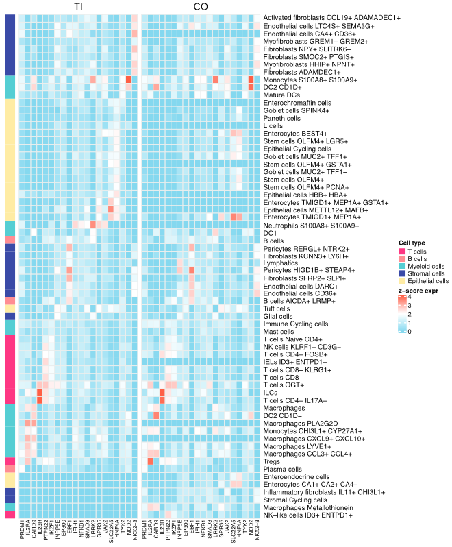 image-20230205083153531