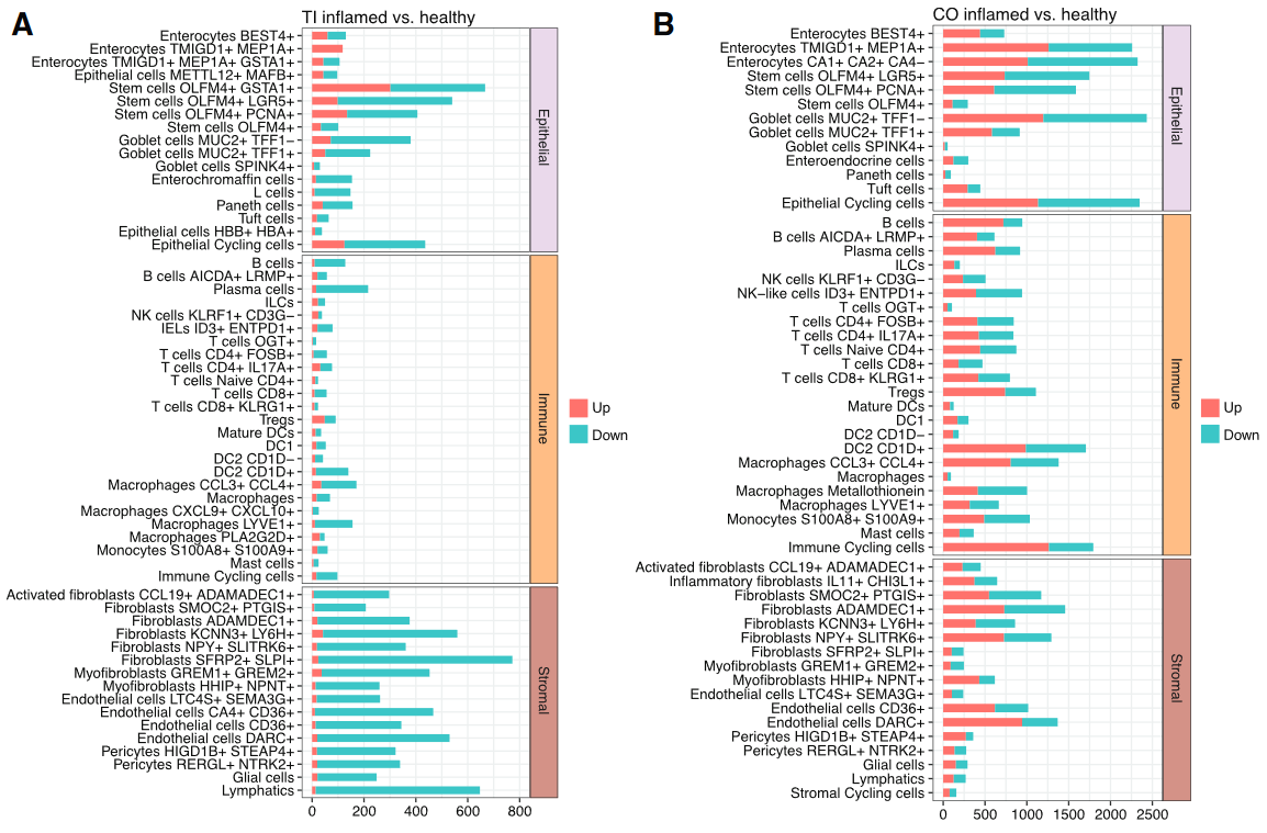 image-20230205084207191
