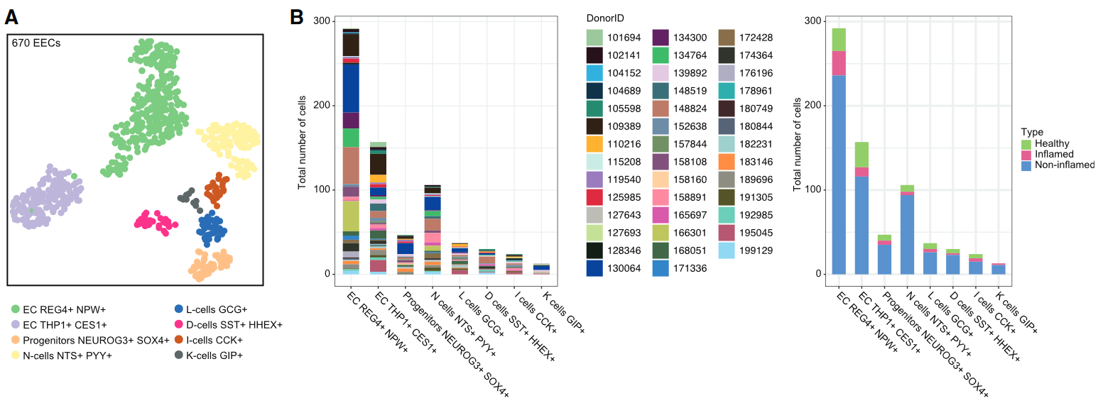 image-20230205090846065