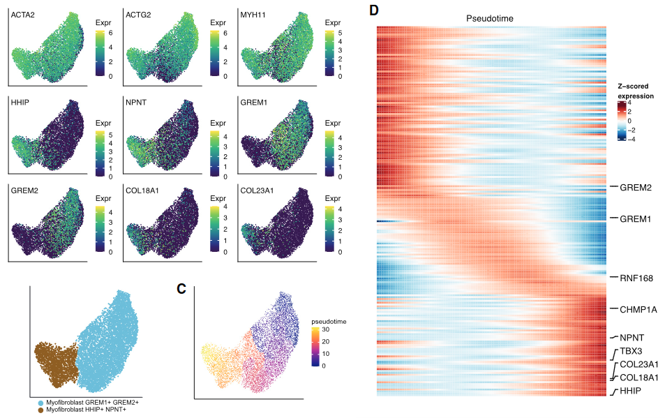 image-20230205093759081