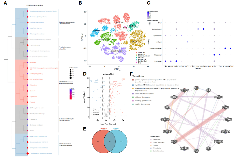 image-20230329201144369