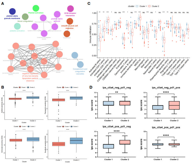 image-20230329202518511