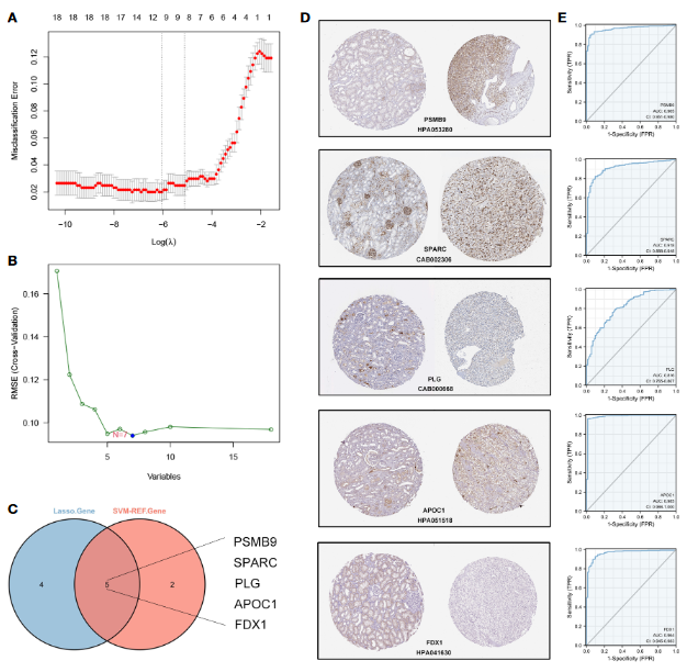 image-20230329203205026