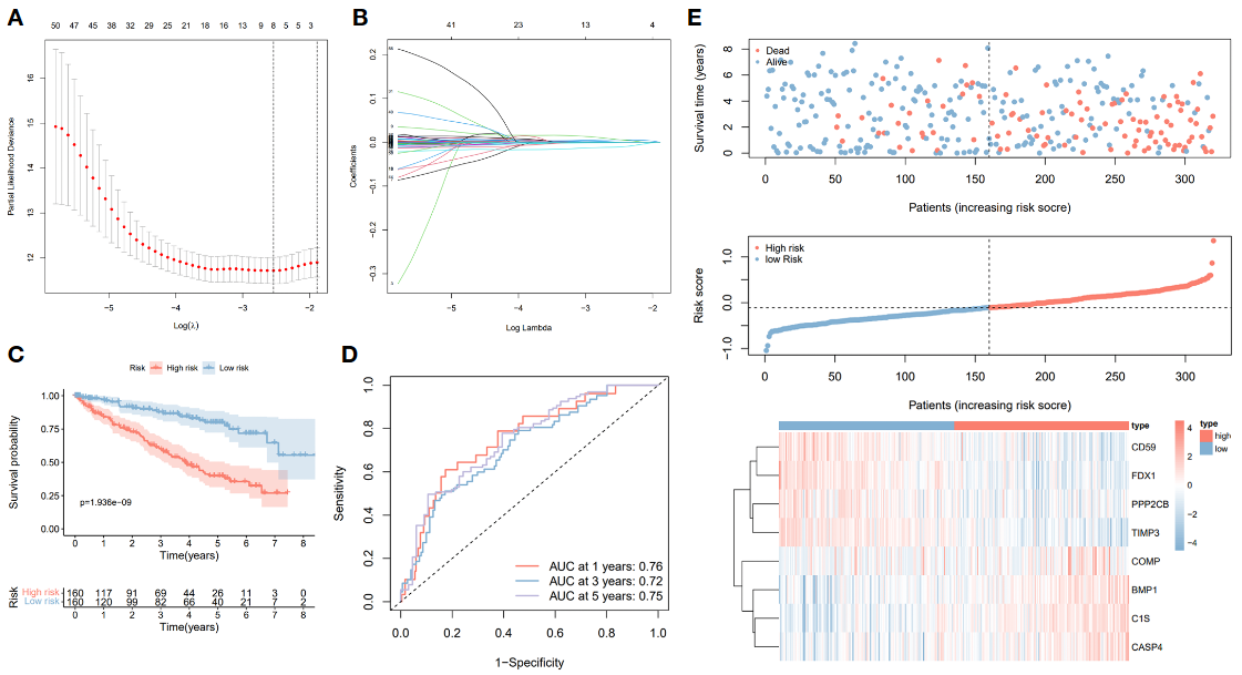 image-20230329205255027