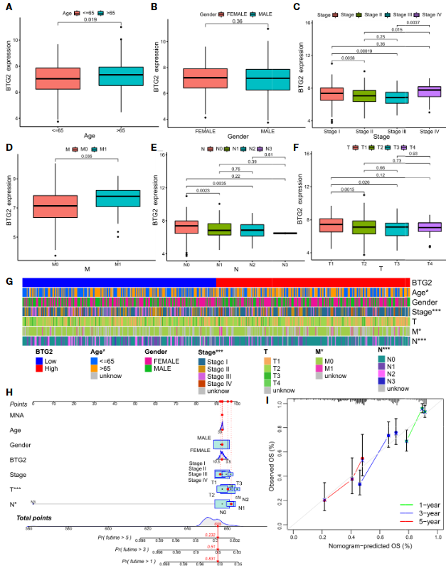 image-20230331163721838