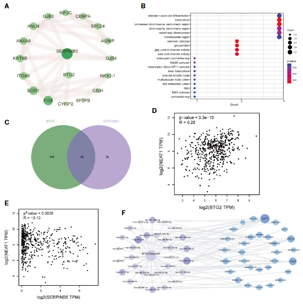 image-20230331164134416