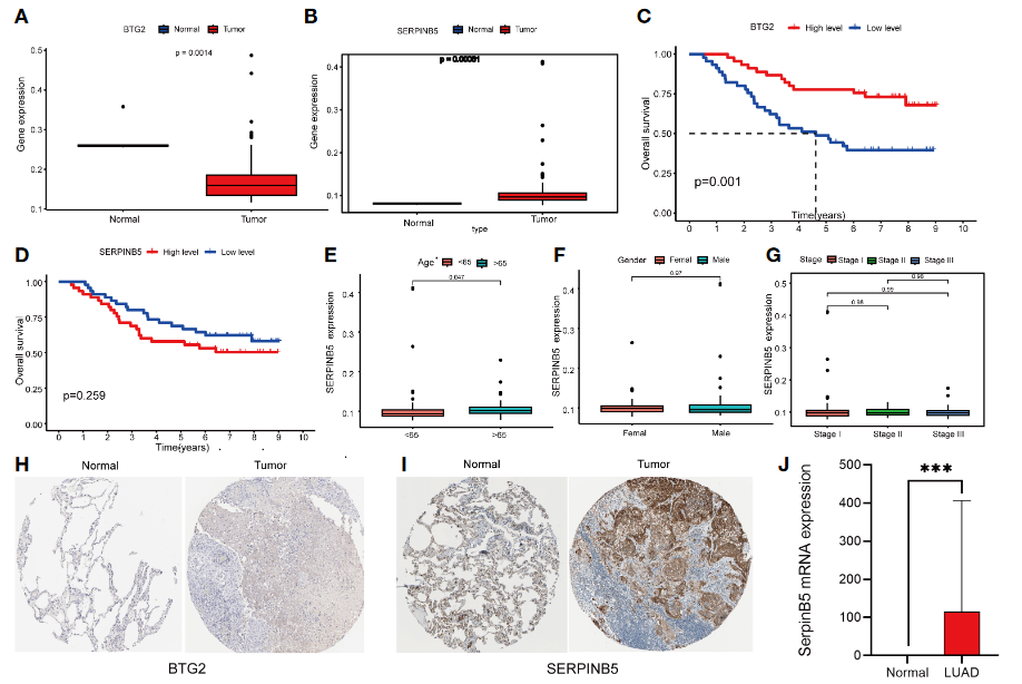 image-20230331165147959