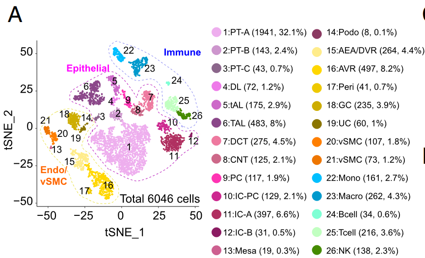 image-20230408112906028