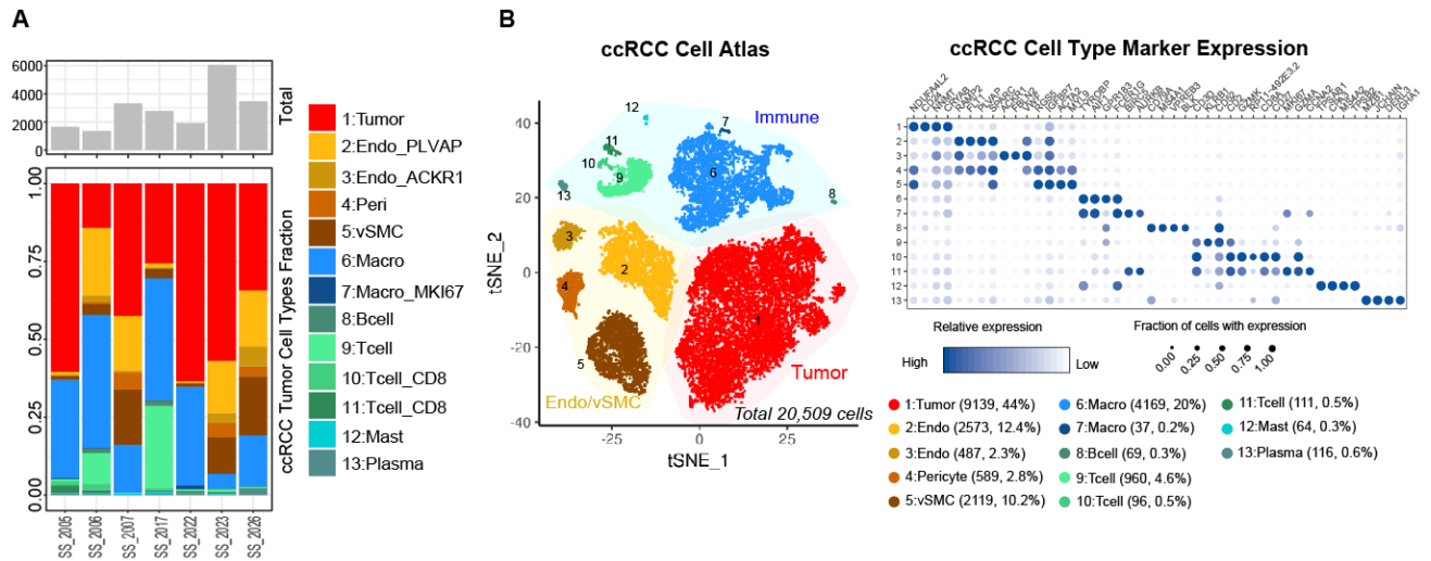 image-20230408113014719