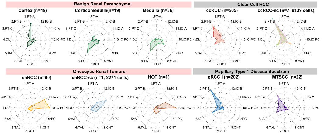 image-20230408114454196