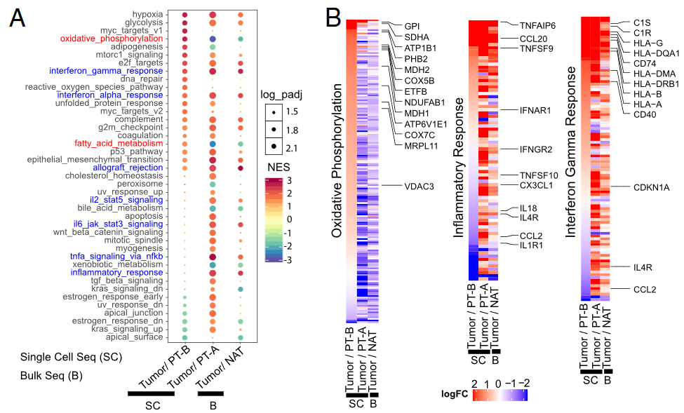image-20230408114604046