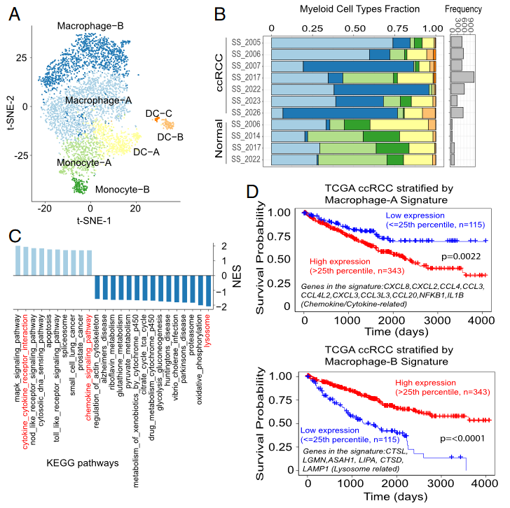 image-20230408115443379