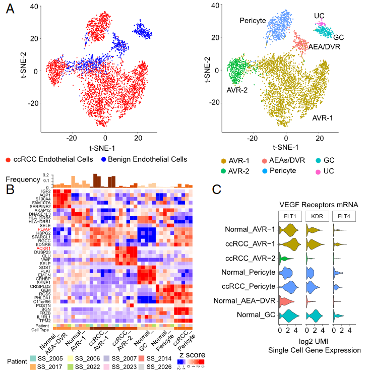 image-20230408115806767