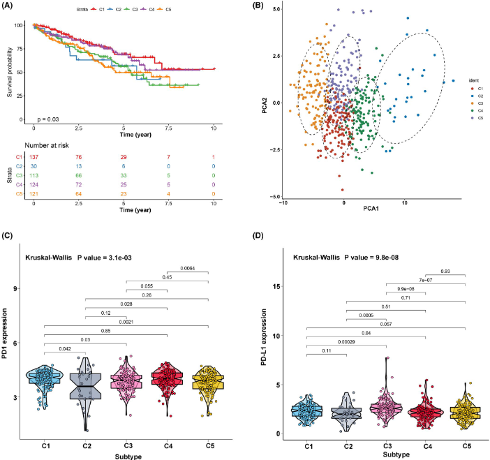 image-20230408161538233