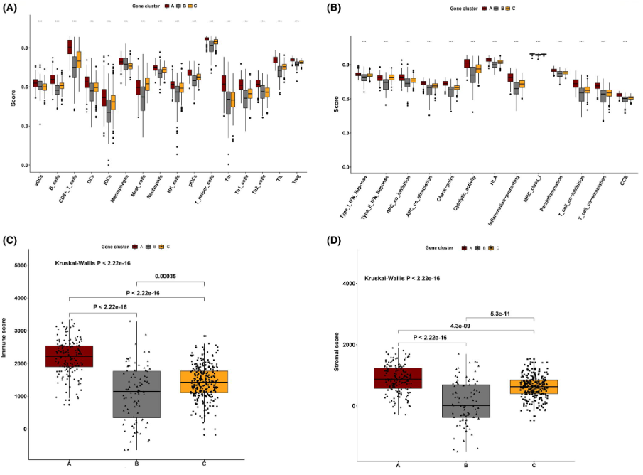 image-20230408162322248