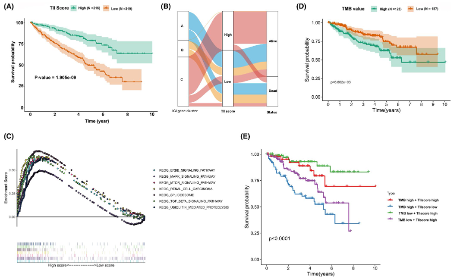 image-20230408163023991