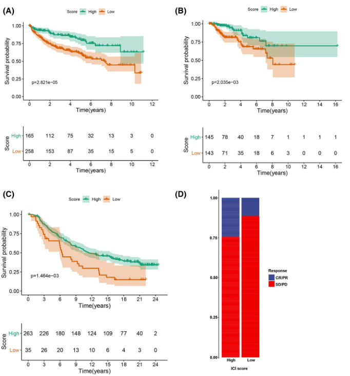 image-20230408164231547