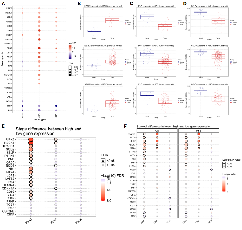 image-20230408204610020