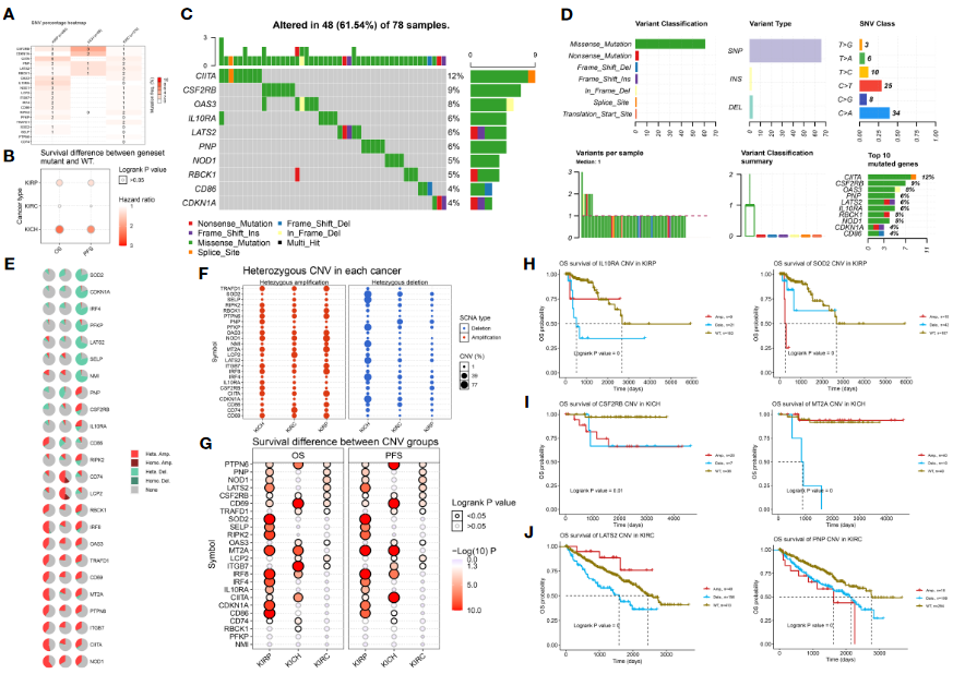 image-20230408205330266