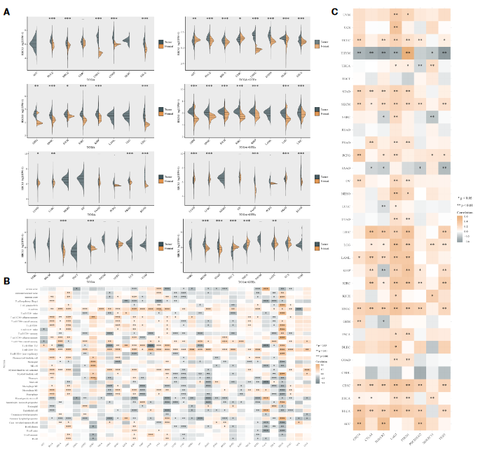 image-20230408210353248