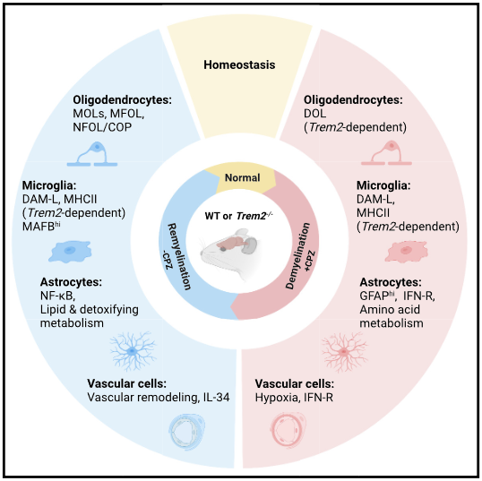 image-20230423173021568