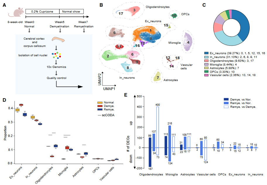 image-20230423173153836